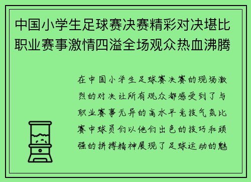 中国小学生足球赛决赛精彩对决堪比职业赛事激情四溢全场观众热血沸腾